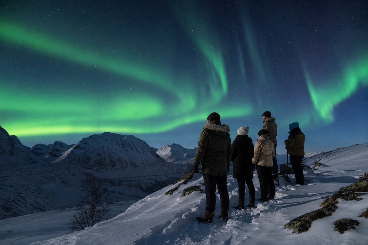 Northern lights over a winter landscape